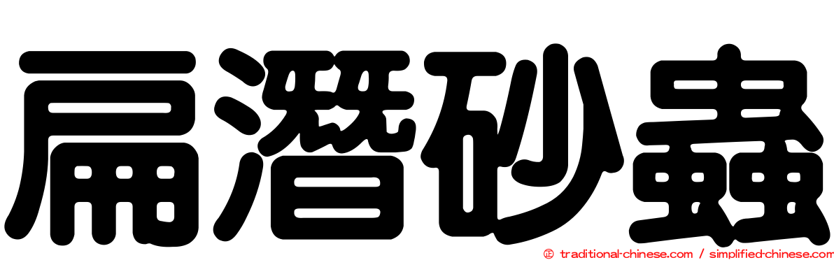 扁潛砂蟲