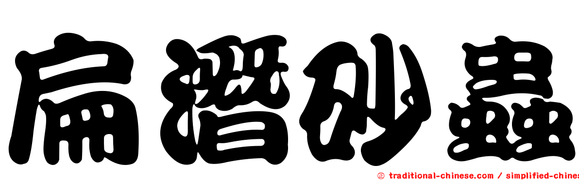 扁潛砂蟲