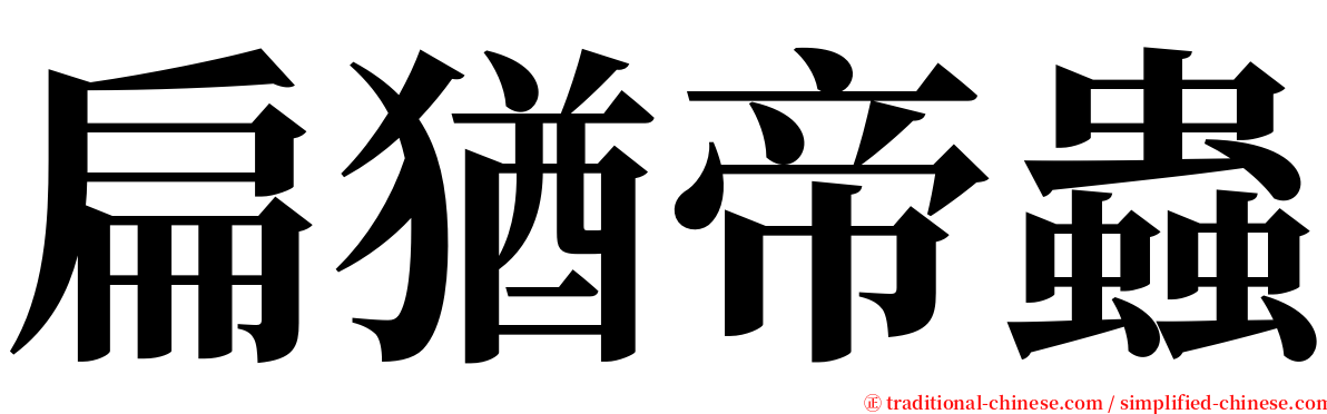 扁猶帝蟲 serif font
