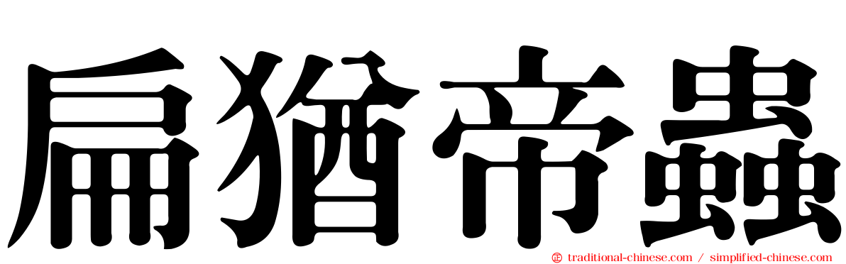 扁猶帝蟲