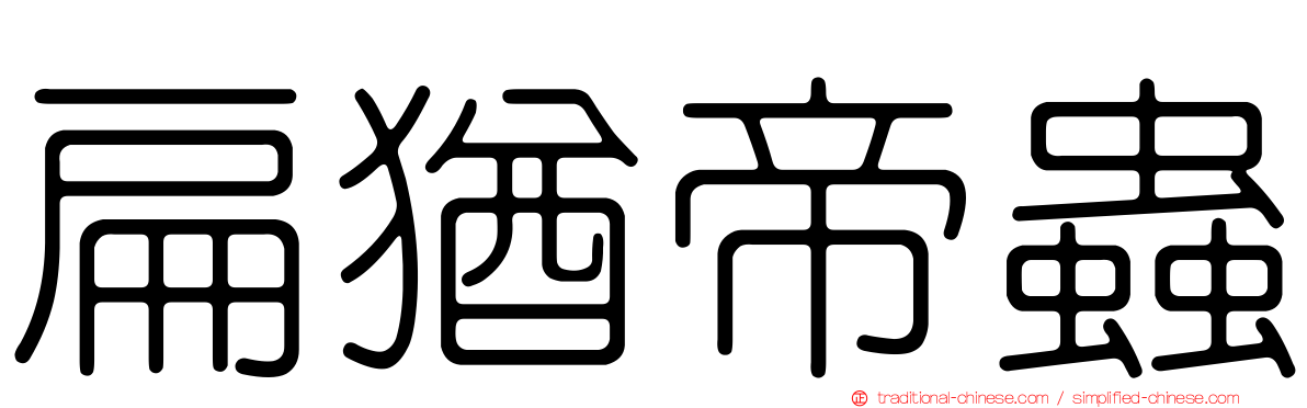 扁猶帝蟲