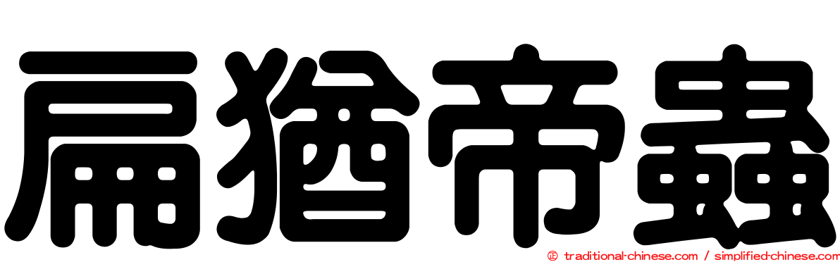 扁猶帝蟲