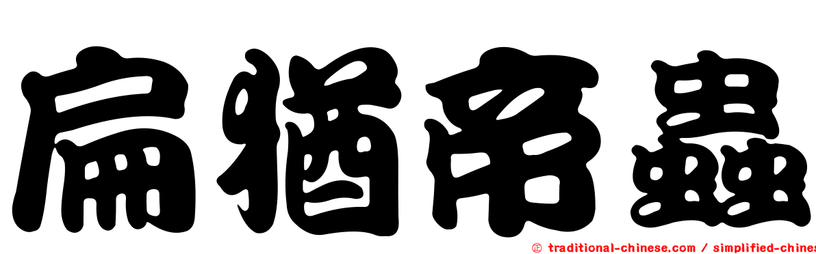 扁猶帝蟲