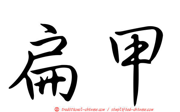 扁甲
