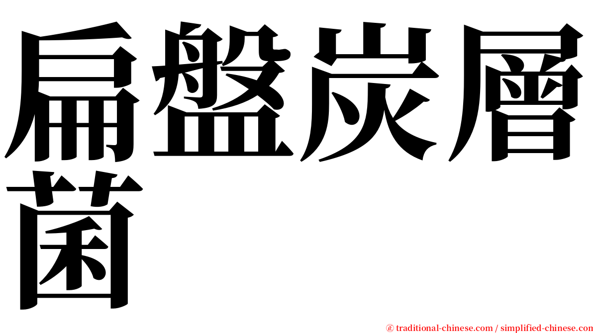 扁盤炭層菌 serif font