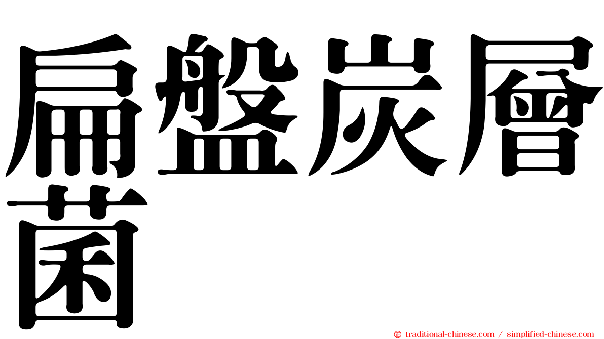 扁盤炭層菌