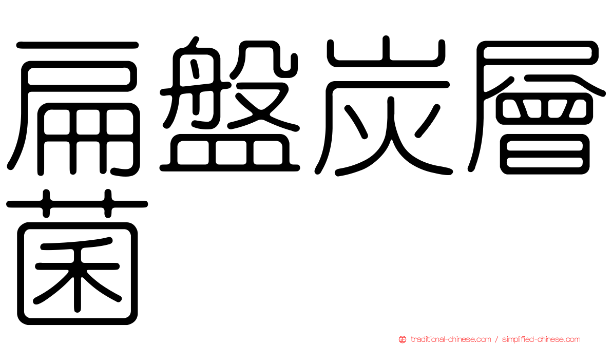 扁盤炭層菌