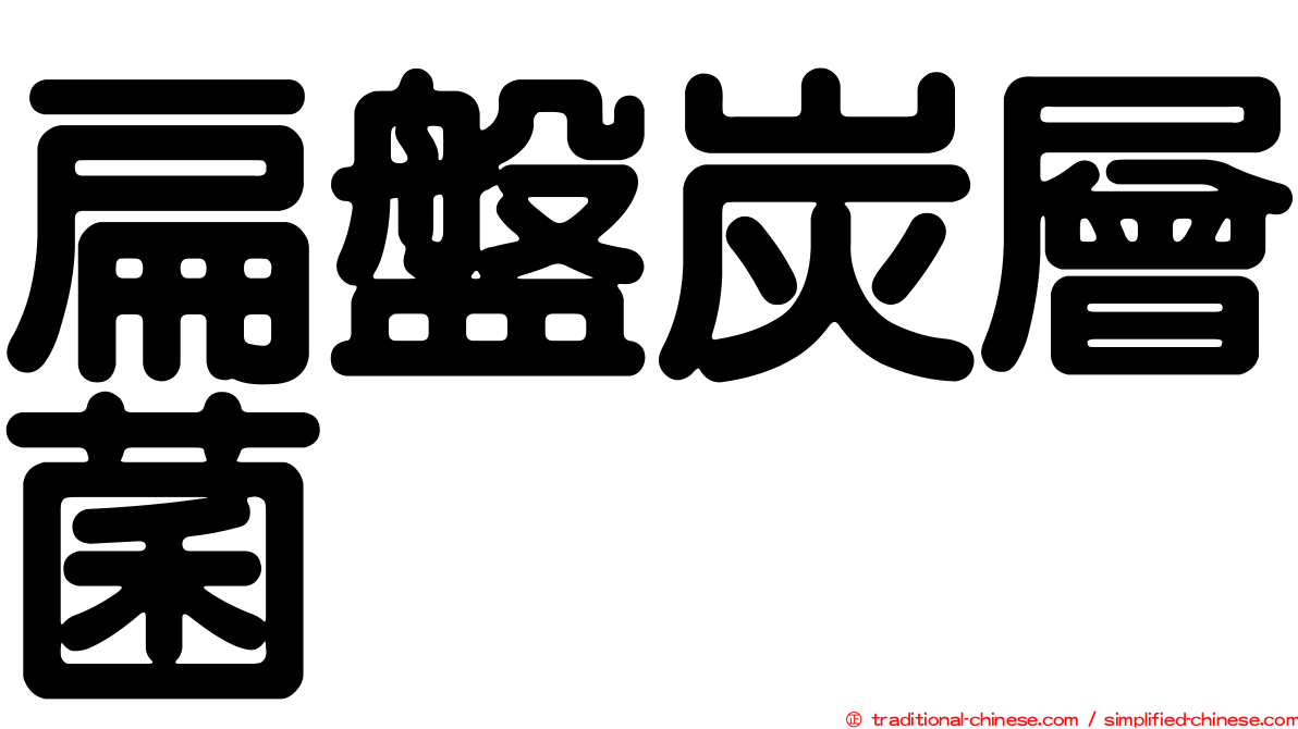 扁盤炭層菌