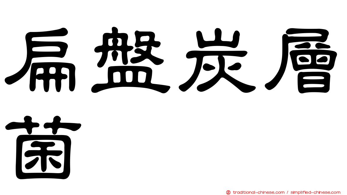 扁盤炭層菌