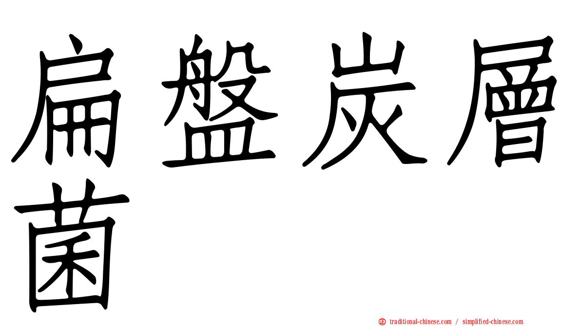 扁盤炭層菌