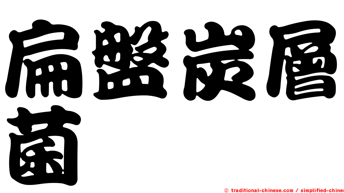 扁盤炭層菌