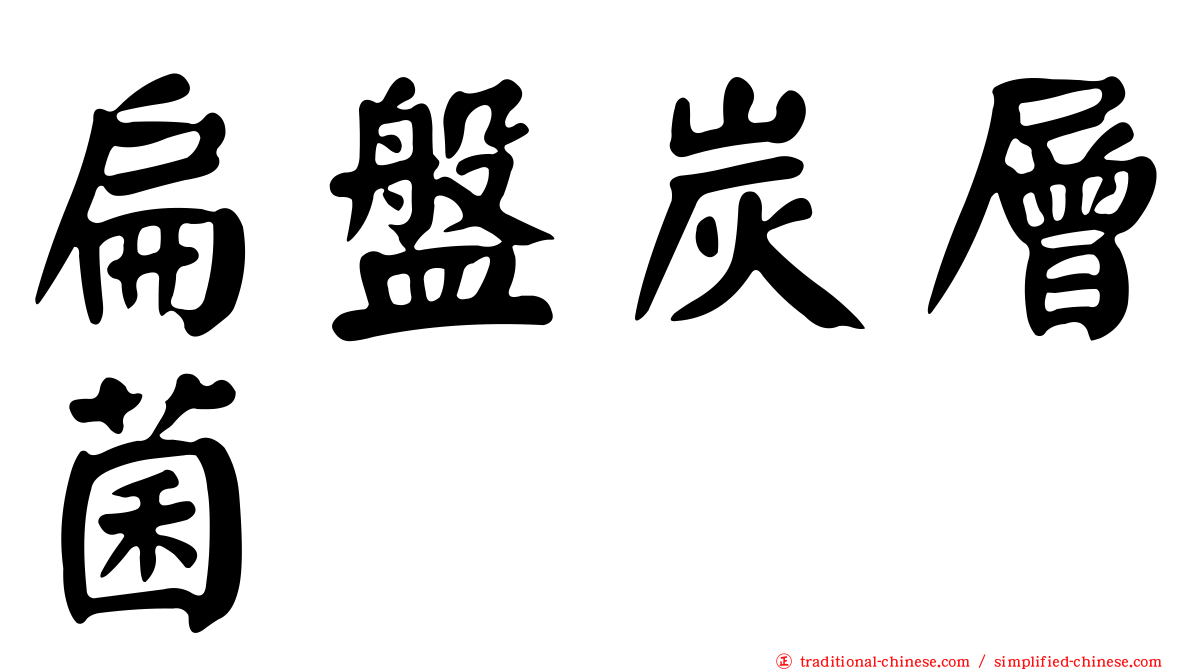 扁盤炭層菌