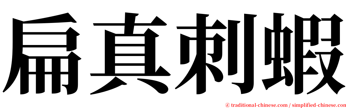 扁真刺蝦 serif font