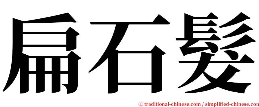 扁石髮 serif font