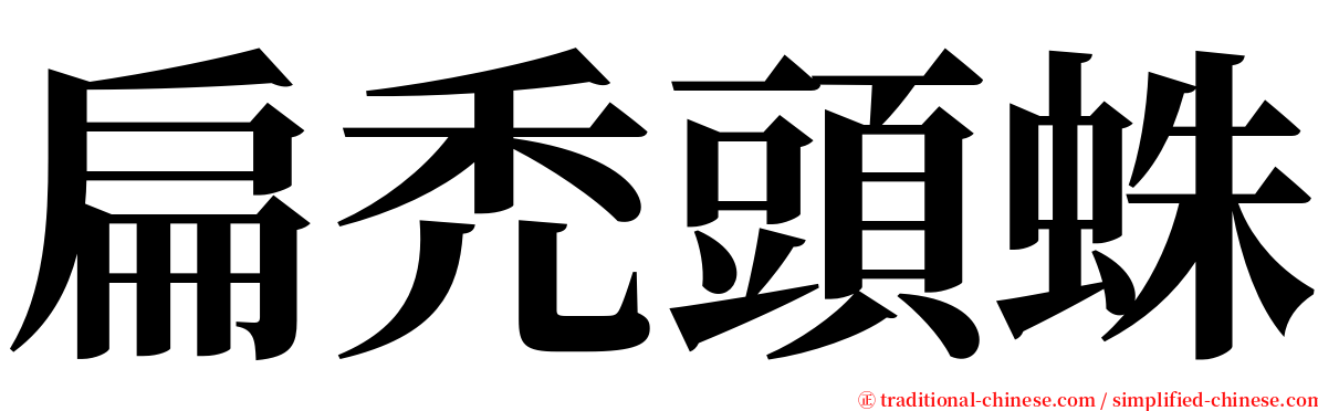 扁禿頭蛛 serif font
