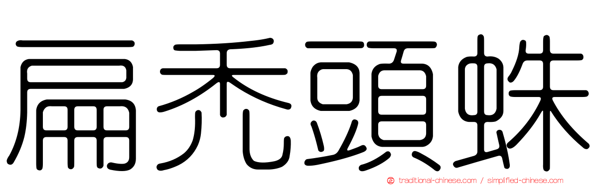 扁禿頭蛛
