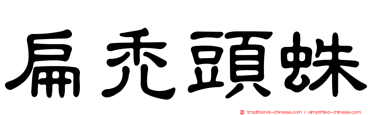 扁禿頭蛛