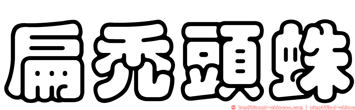 扁禿頭蛛
