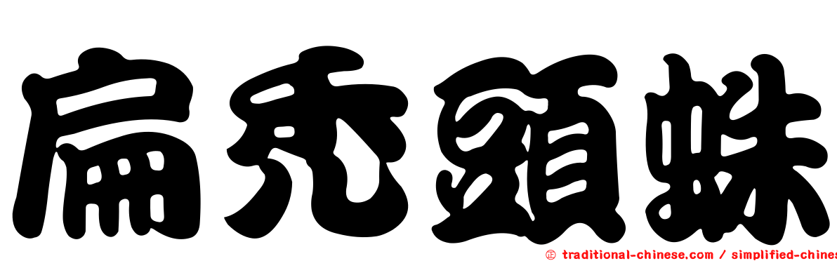 扁禿頭蛛