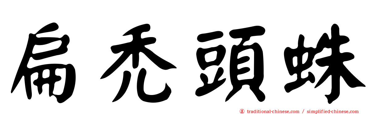 扁禿頭蛛