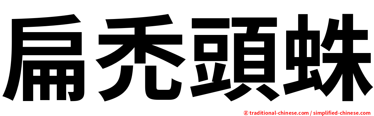扁禿頭蛛