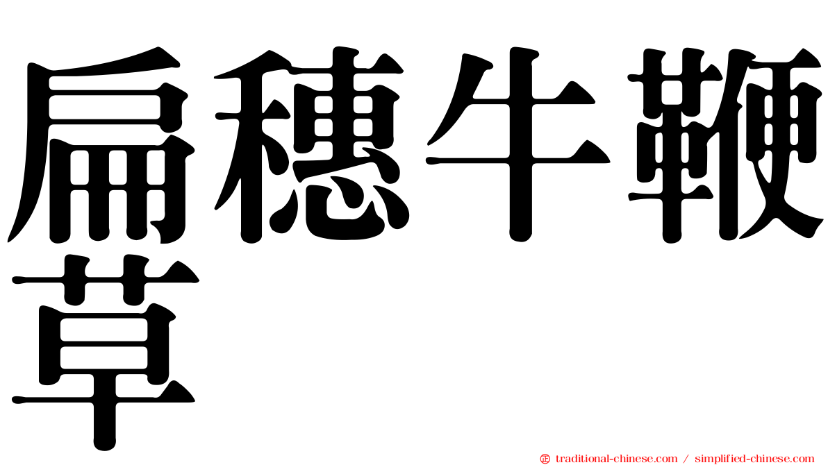 扁穗牛鞭草