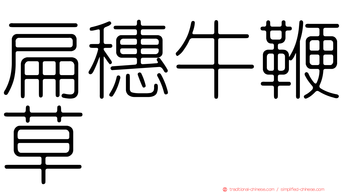 扁穗牛鞭草