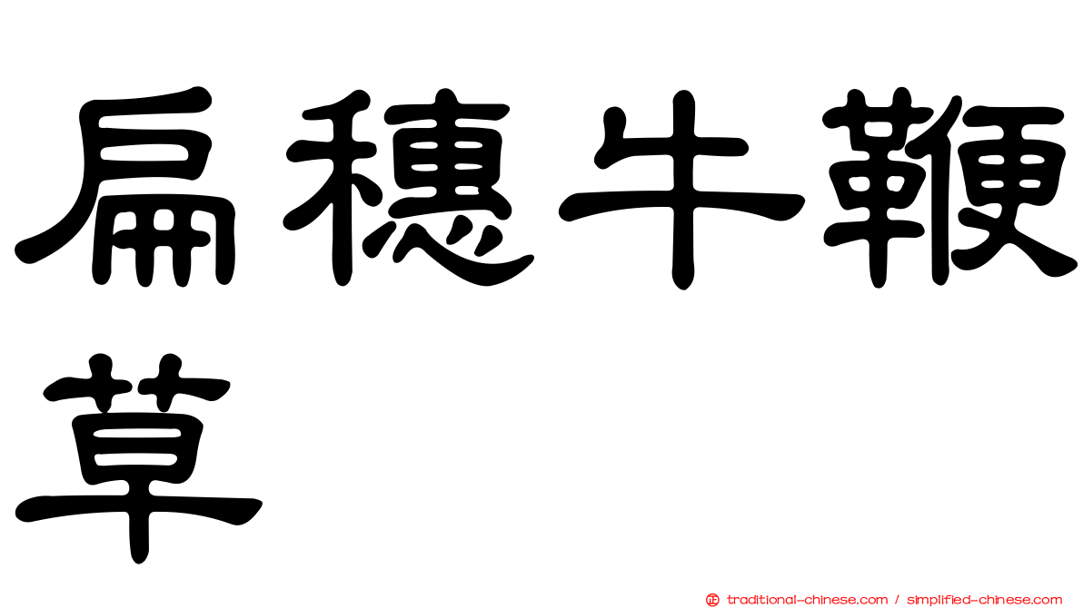 扁穗牛鞭草