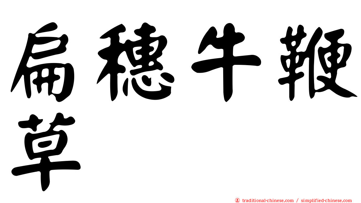 扁穗牛鞭草