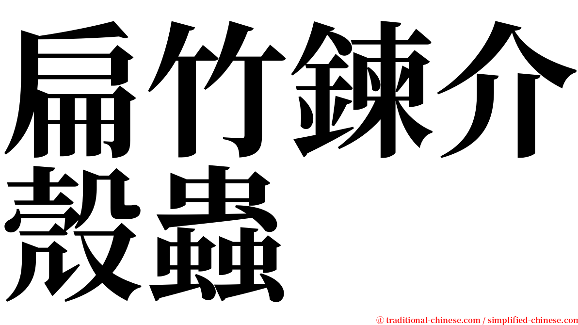 扁竹鍊介殼蟲 serif font