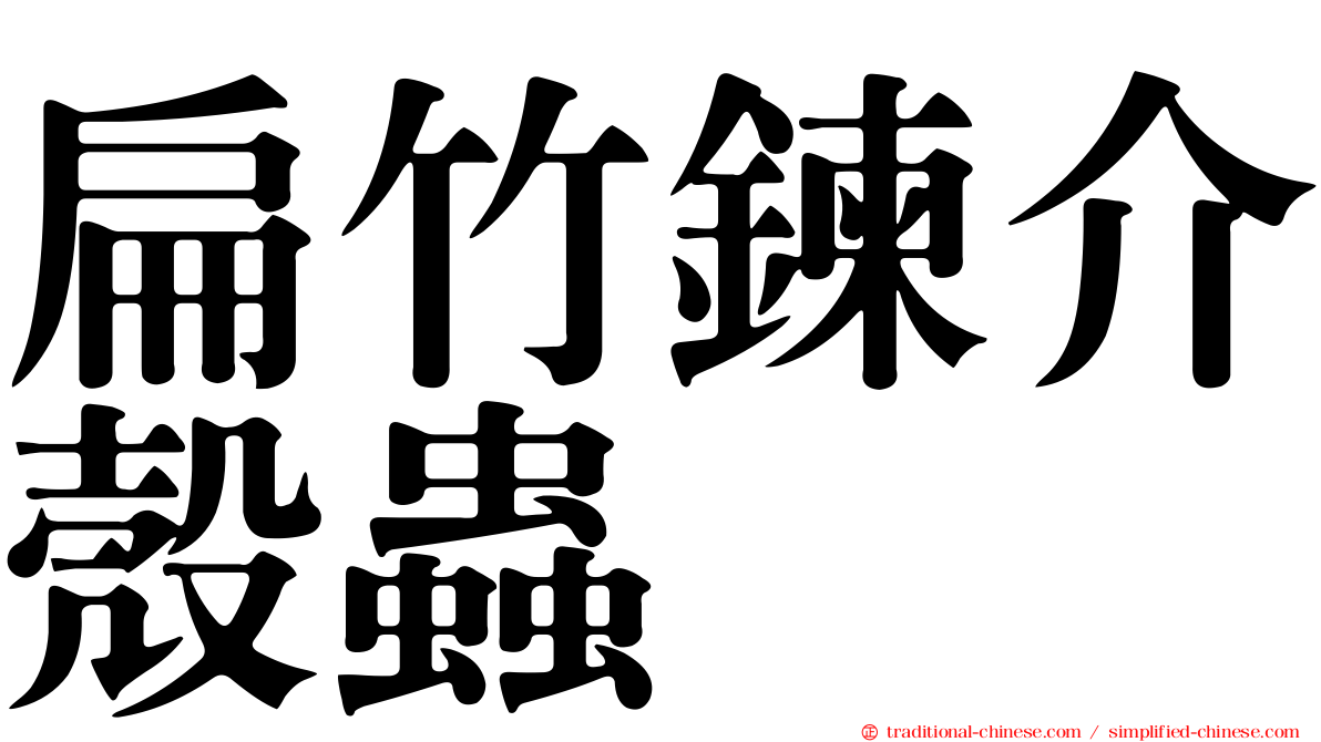 扁竹鍊介殼蟲