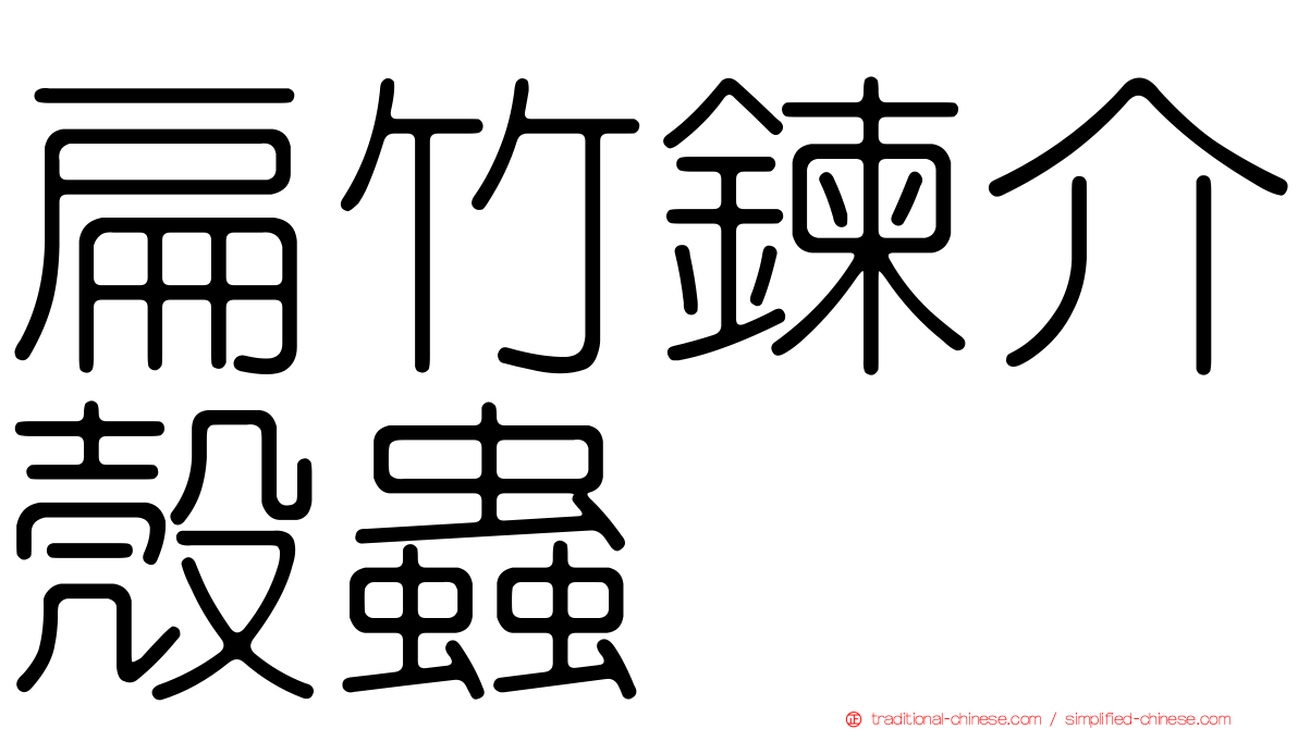 扁竹鍊介殼蟲