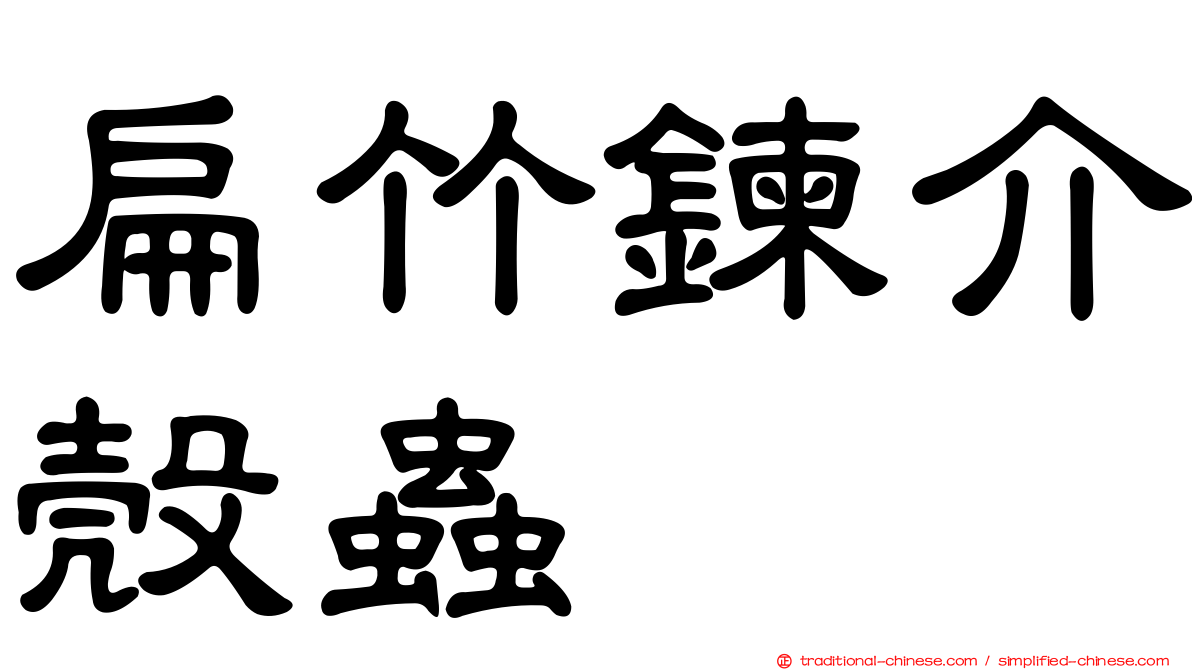 扁竹鍊介殼蟲