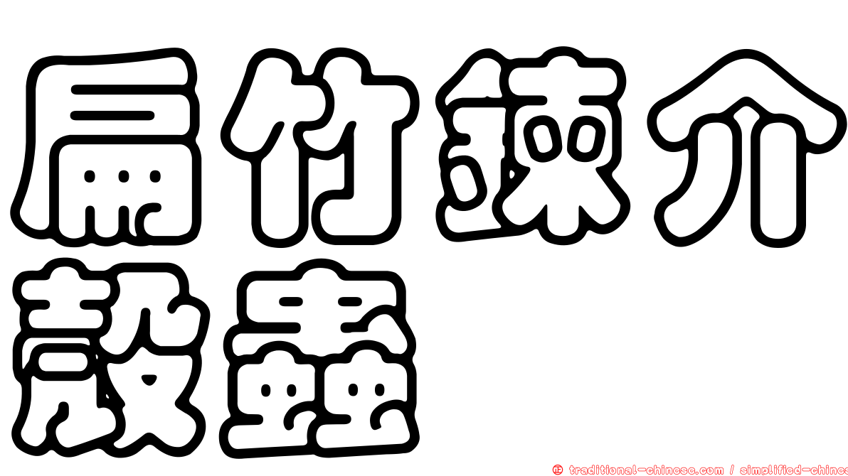 扁竹鍊介殼蟲