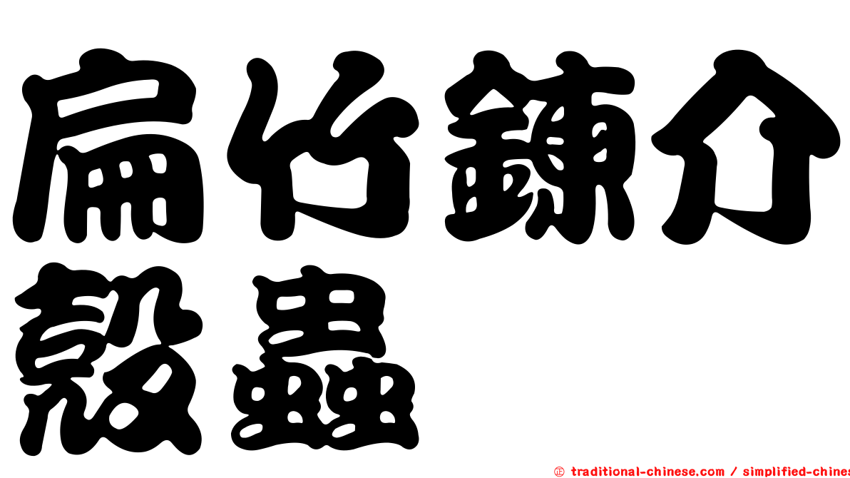 扁竹鍊介殼蟲