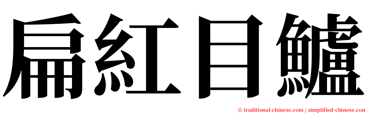扁紅目鱸 serif font