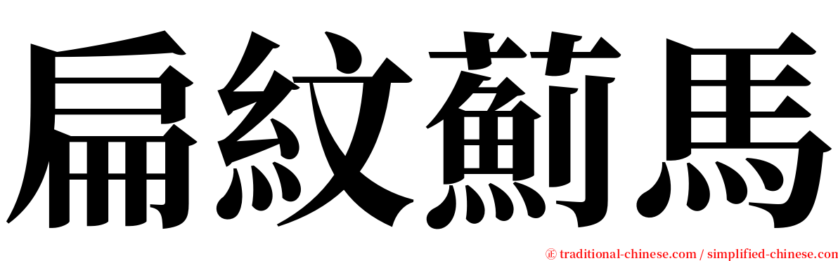 扁紋薊馬 serif font