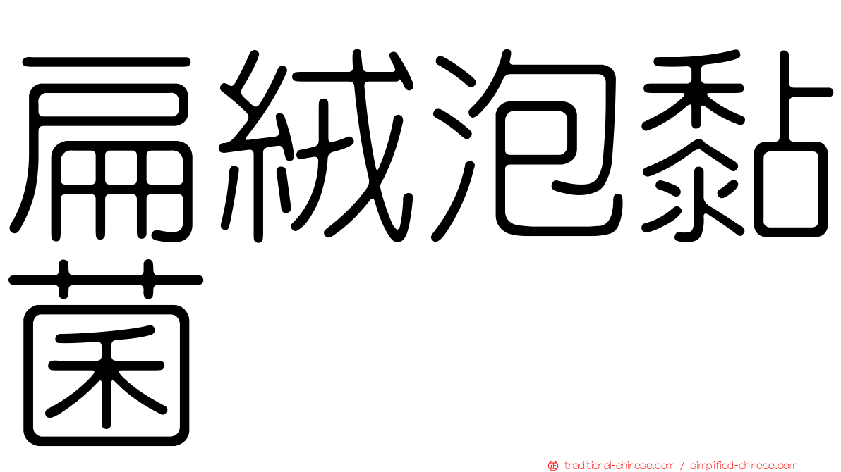 扁絨泡黏菌