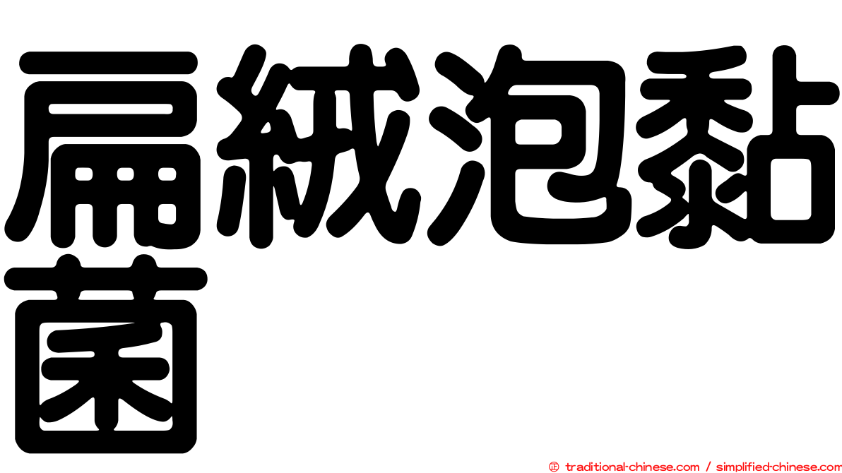 扁絨泡黏菌