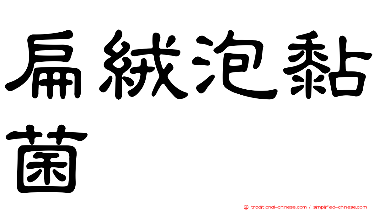 扁絨泡黏菌