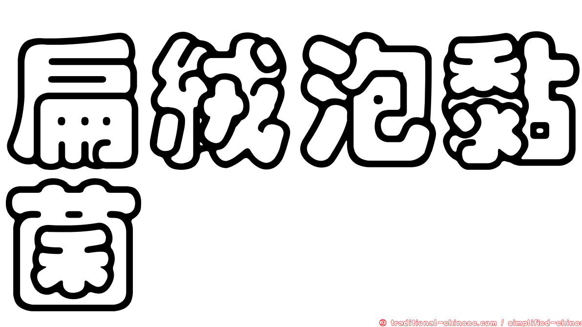 扁絨泡黏菌
