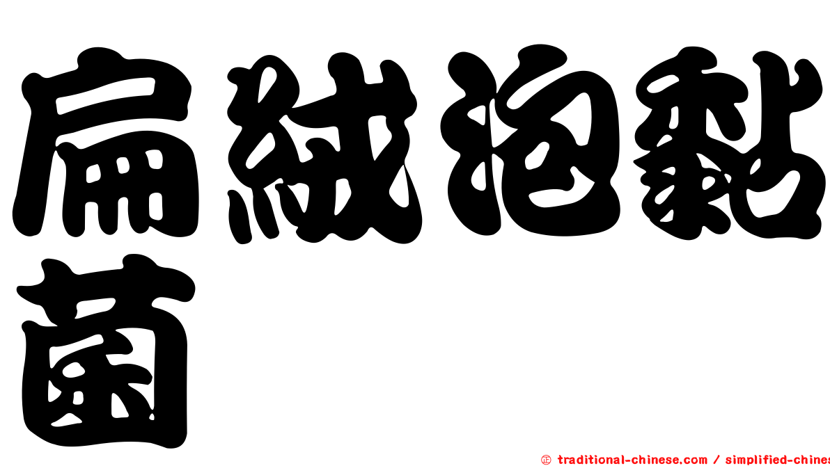 扁絨泡黏菌