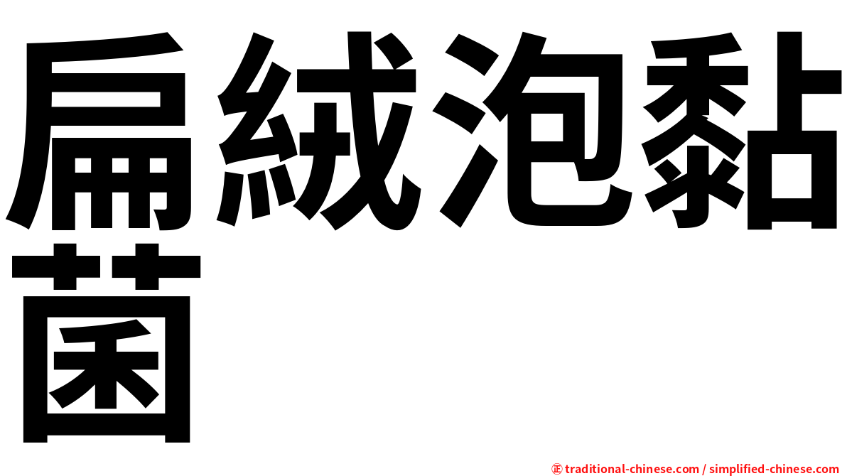 扁絨泡黏菌