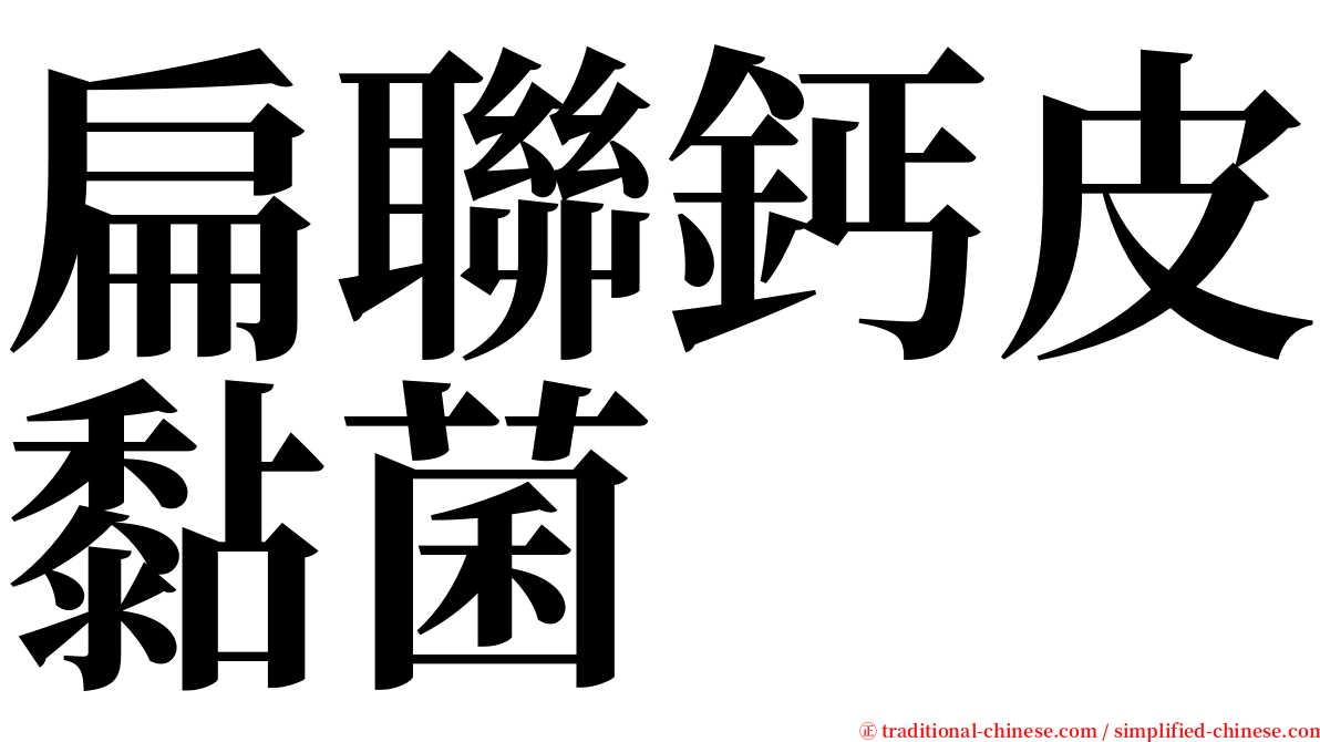 扁聯鈣皮黏菌 serif font