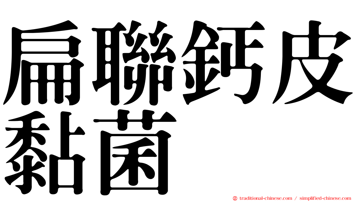 扁聯鈣皮黏菌