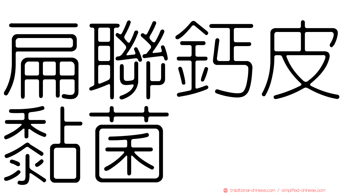 扁聯鈣皮黏菌