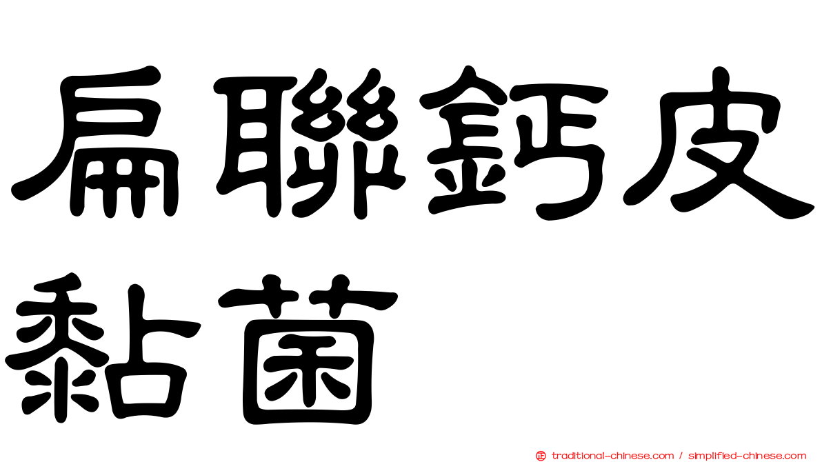 扁聯鈣皮黏菌