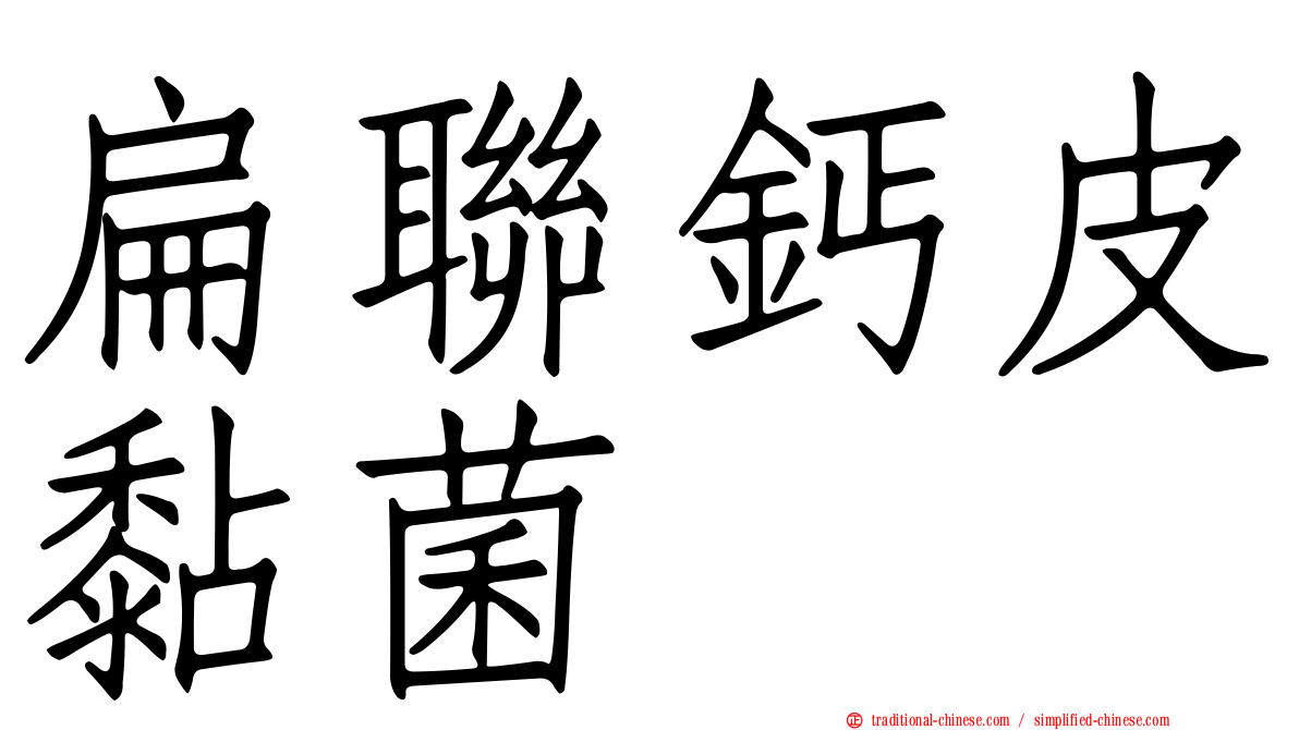 扁聯鈣皮黏菌
