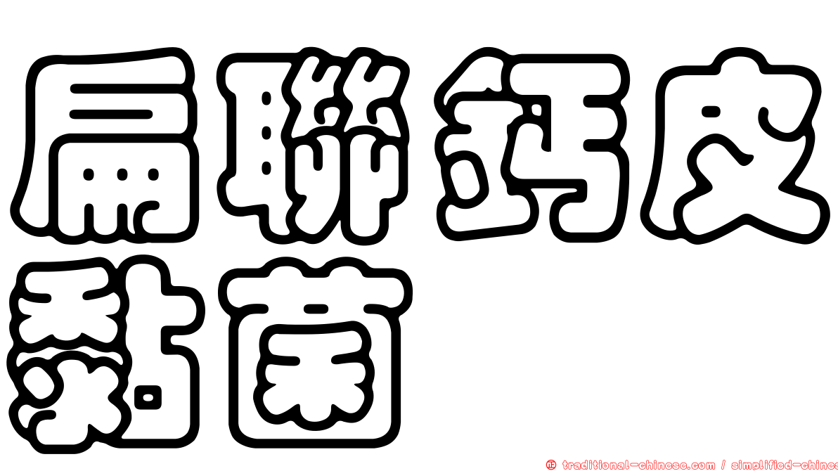 扁聯鈣皮黏菌