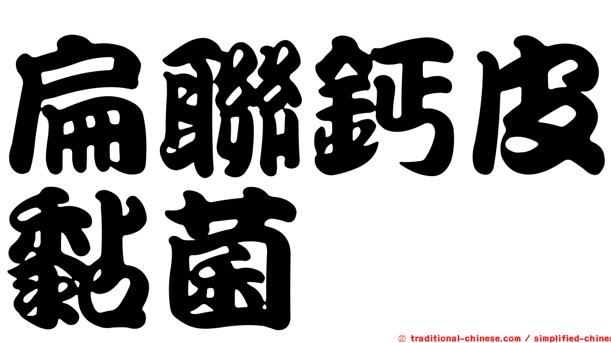 扁聯鈣皮黏菌